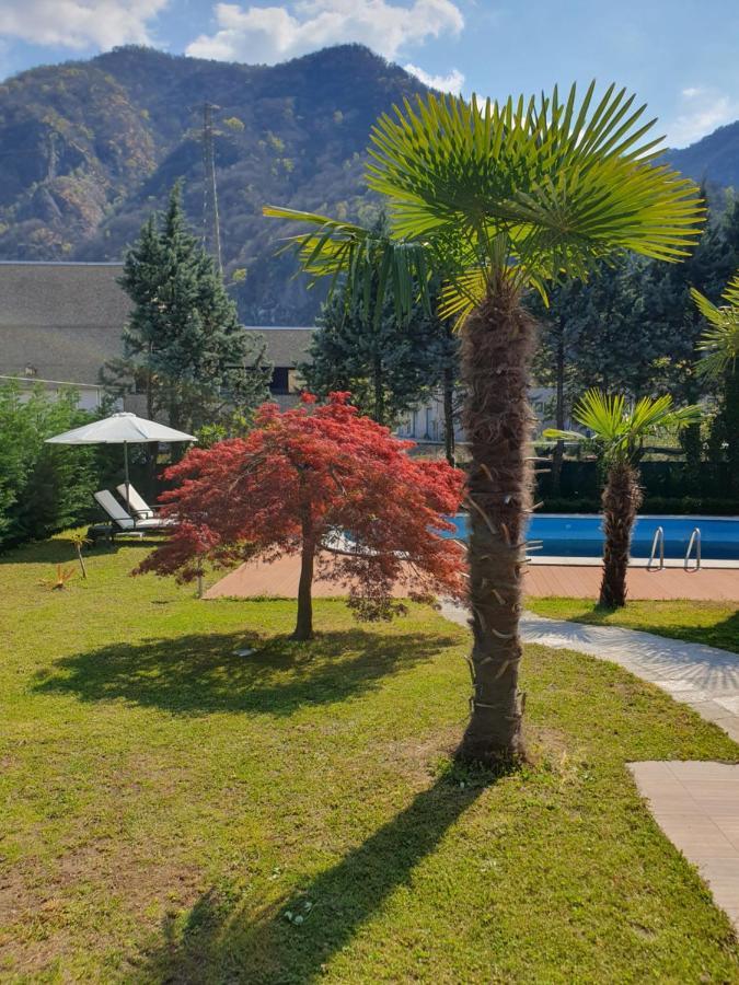 Villa Mariel Lago Maggiore Gravellona Toce Kültér fotó