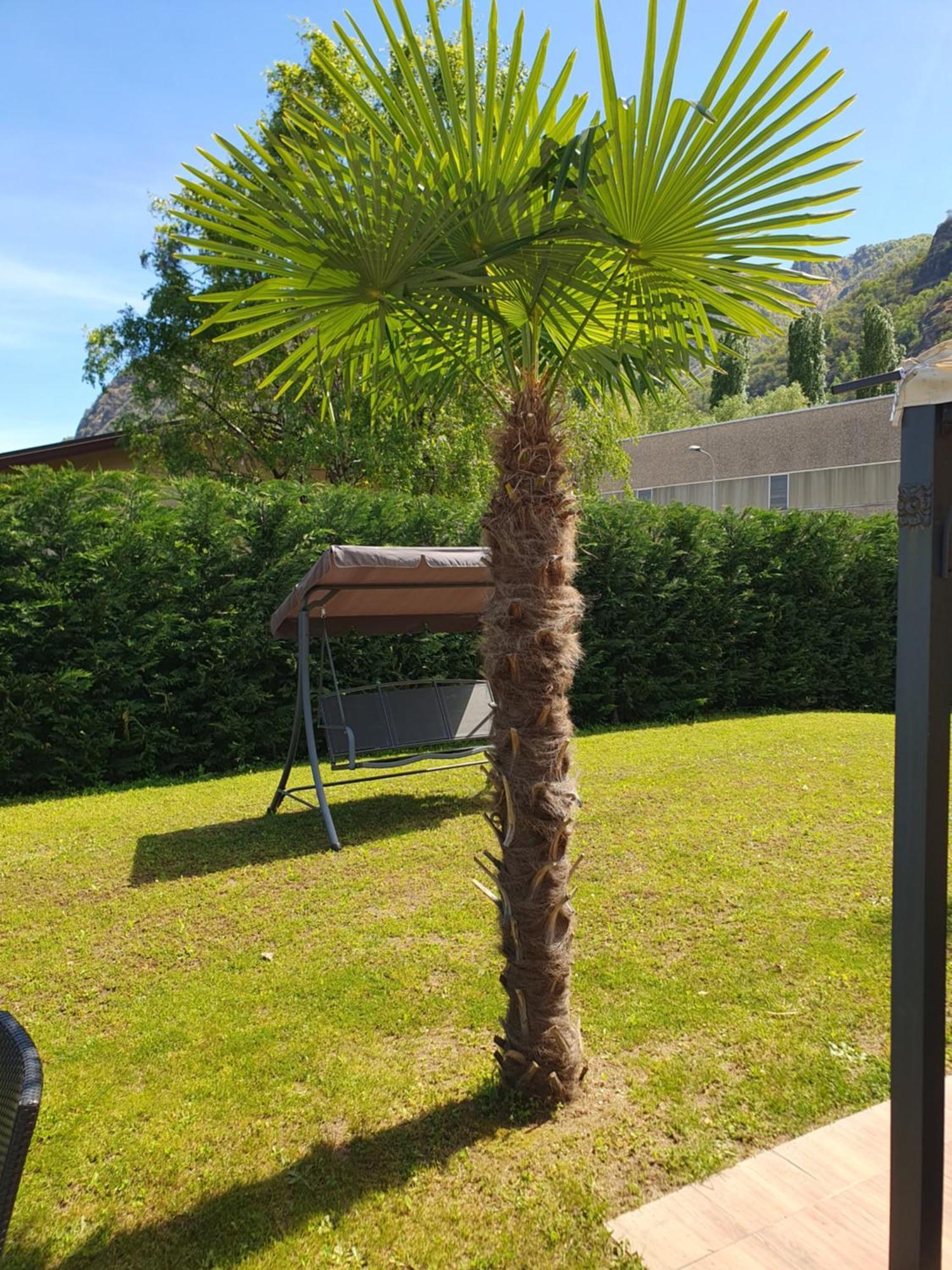 Villa Mariel Lago Maggiore Gravellona Toce Kültér fotó
